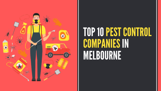 Top 10 Pest Control Companies In Melbourne