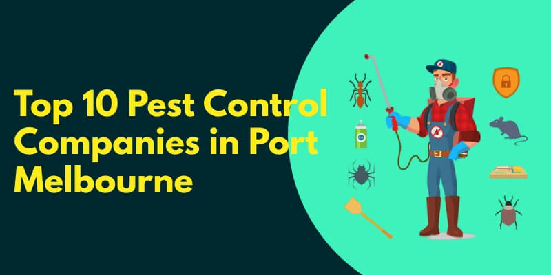 Pest Control Companies in prt melbourne