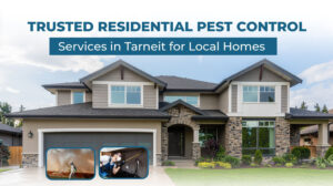 Residential Pest Control Services in Tarneit