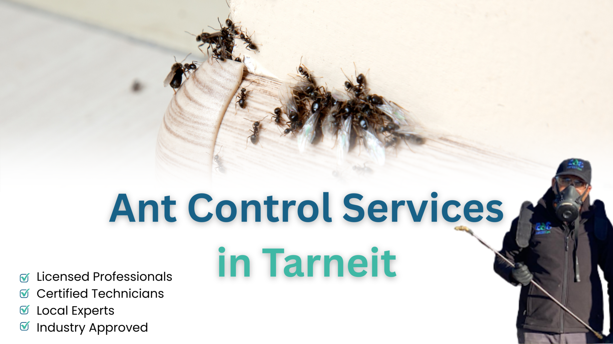 Stray Insects Reliable Pest Control in Tarneit & Nearby Suburbs